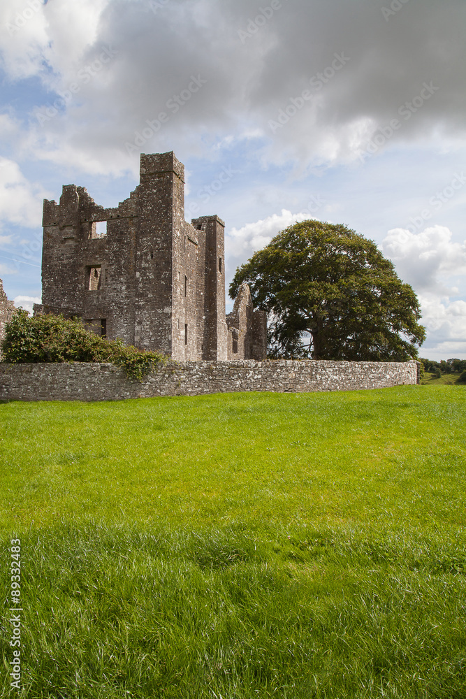 Midieval abbey ruins. Ireland.