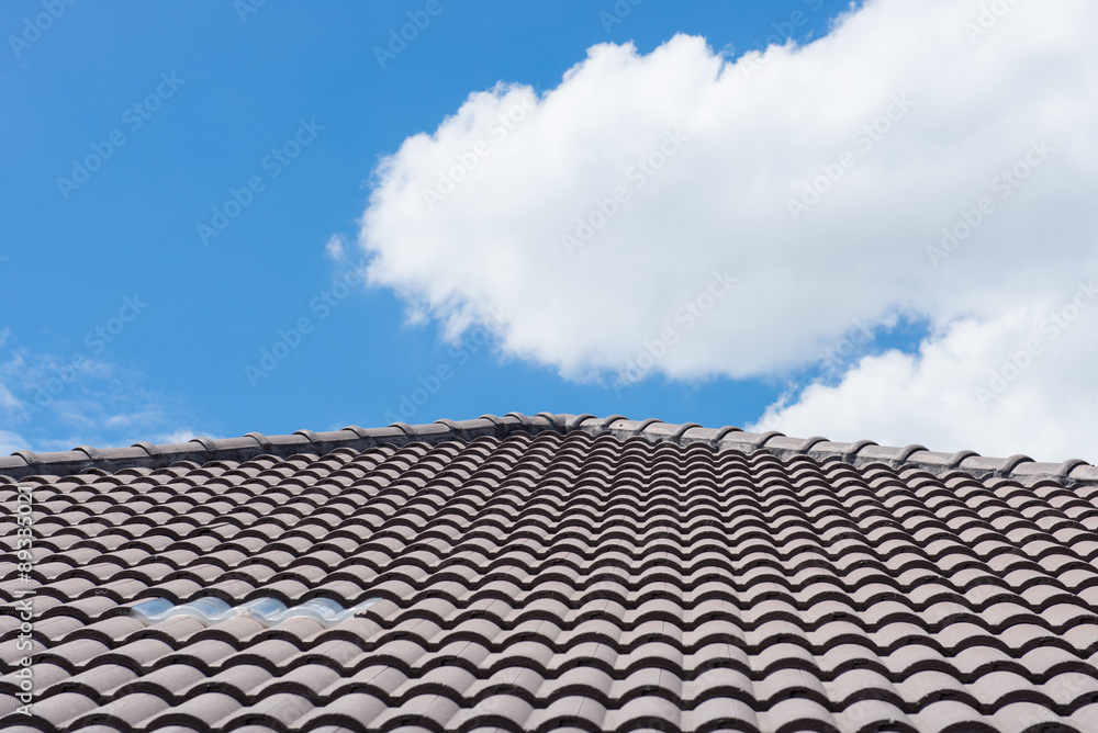 Roof Floor and texture