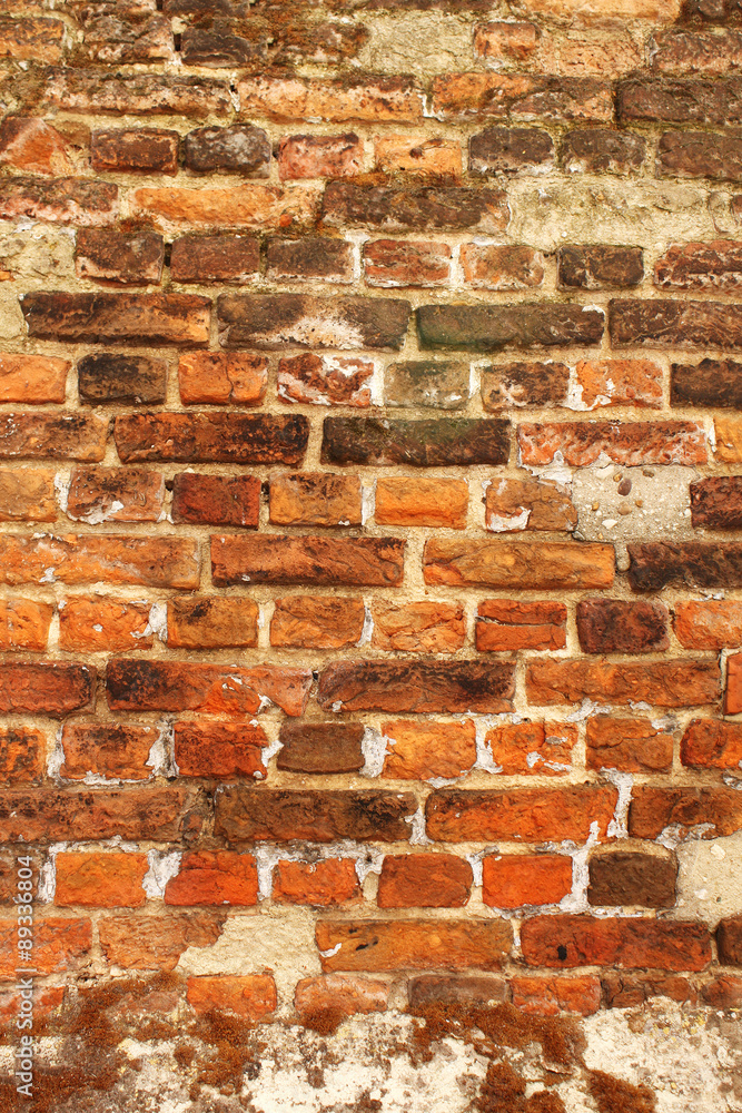 Obraz premium Texture of brick wall