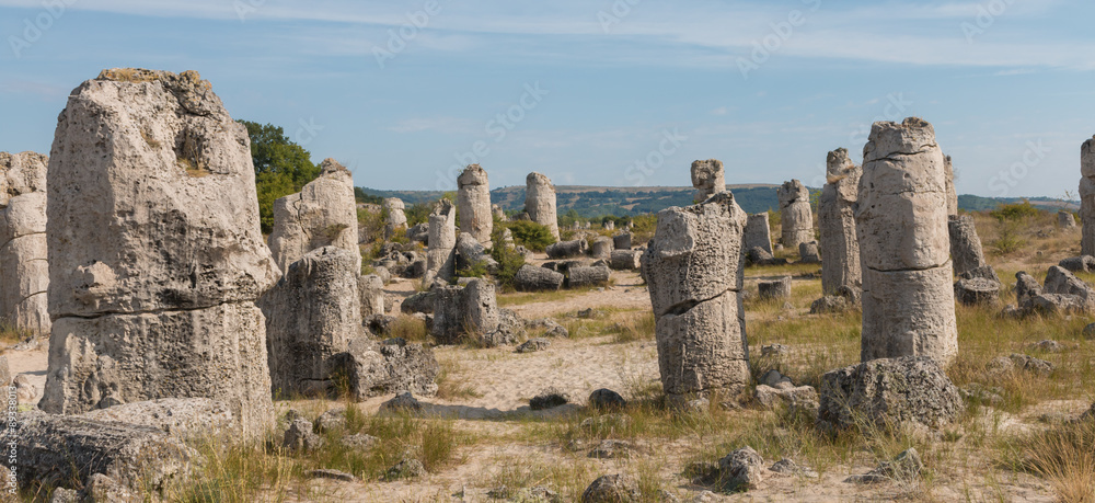 The Stone Desert (Pobiti kamani) near Varna, Bulgaria The Stone Desert (Pobiti kamani) near Varna, Bulgaria