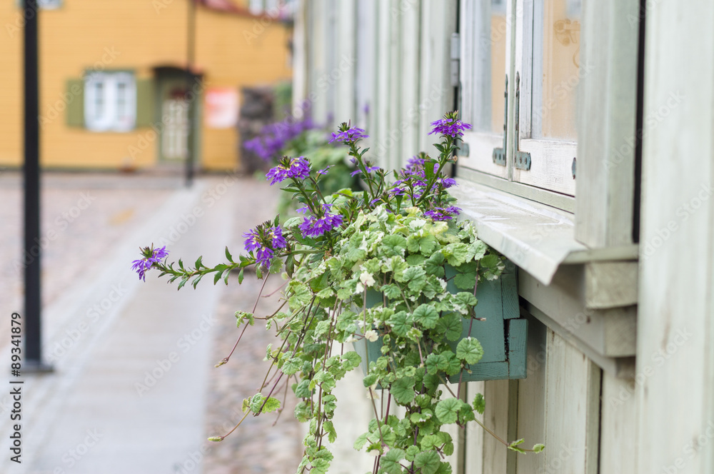 Closeup of pot with violet flowering plants in a typical european town street
