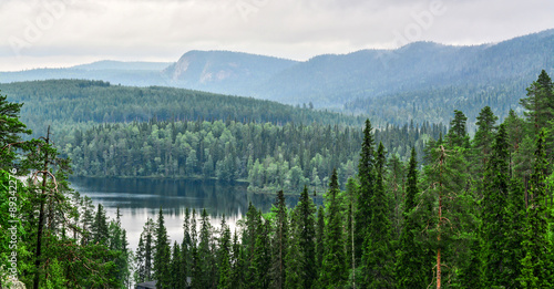 Fototapeta Naklejka Na Ścianę i Meble -  Mountain view Lapland Finland
