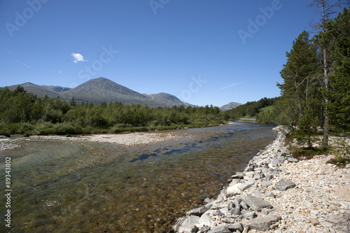 Clean and clear river in the forest, Rondane National Park, Norw