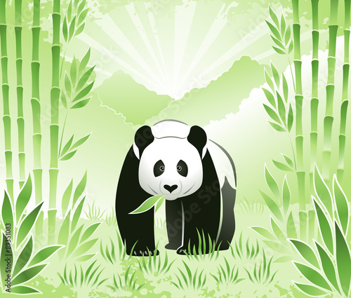 Meet the Bamboo Panda. A panda bear in bamboo grove against mountain landscape background.