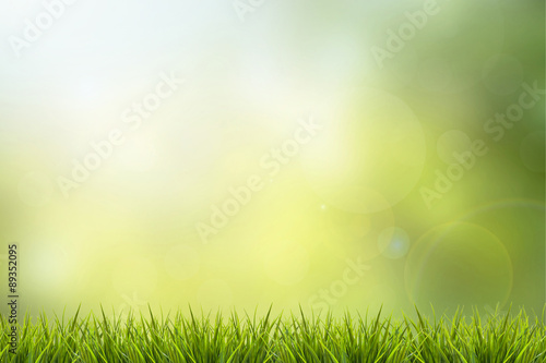 Fototapeta Naklejka Na Ścianę i Meble -  Grass and green nature blurred background