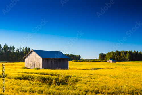 Two Barns On The Autumn Fields