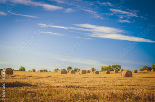 mown grain field with haystacks