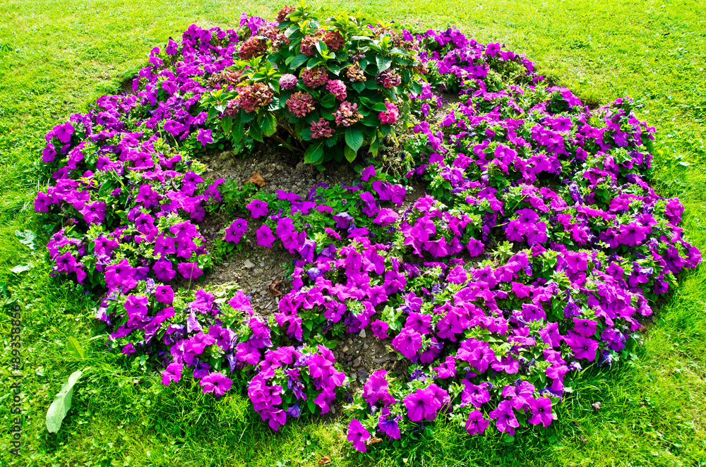 Obraz premium flowerbed