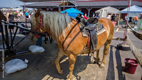 Horses doing work