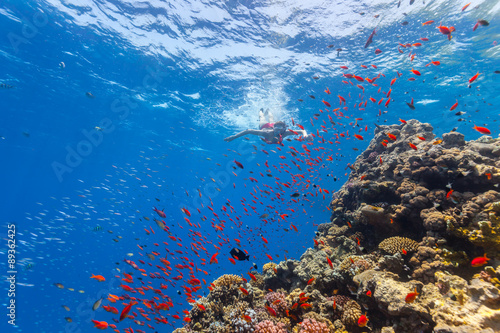 Freediver woman exploring coral