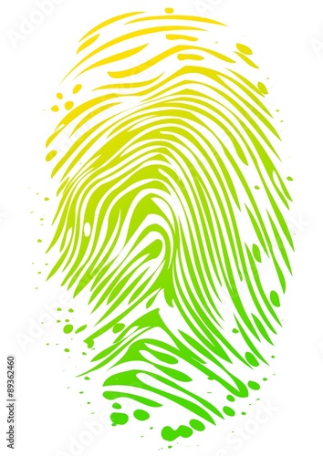 Impronta digitale