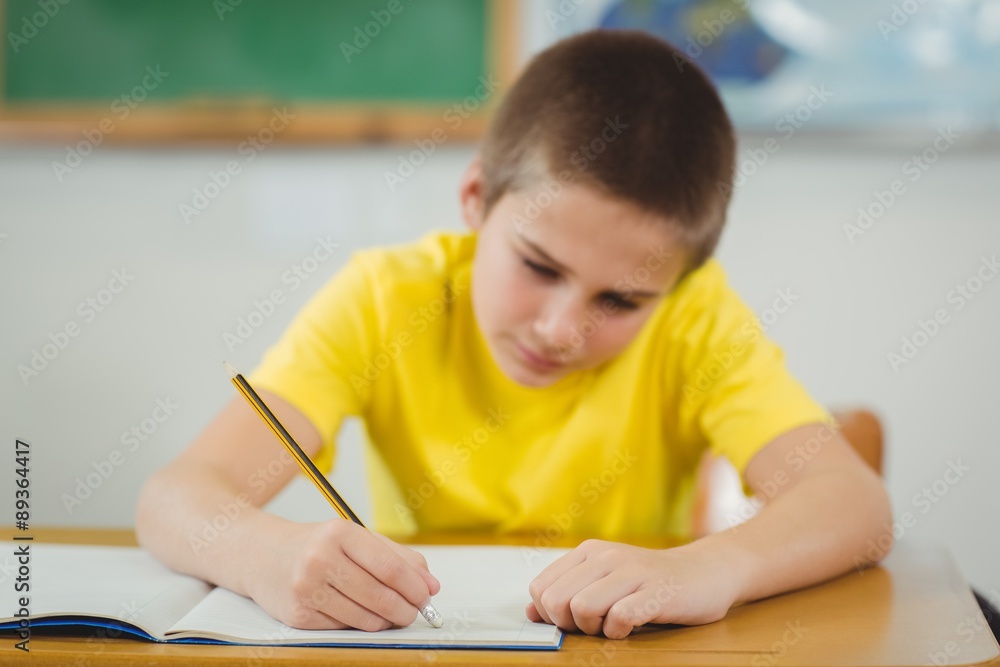 Concentrated pupil working at his desk in a classroom