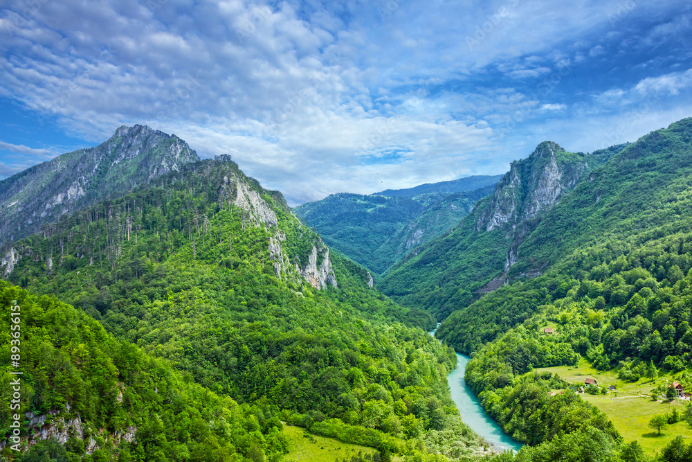 Green hills and mountain rive Tar, in Montenegro. Landscape