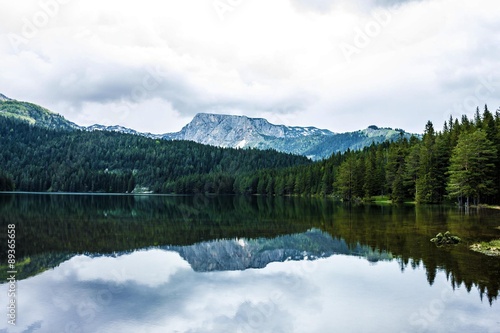 Mountain lake, evergreen coniferous forest, Durmitor, Montenegro