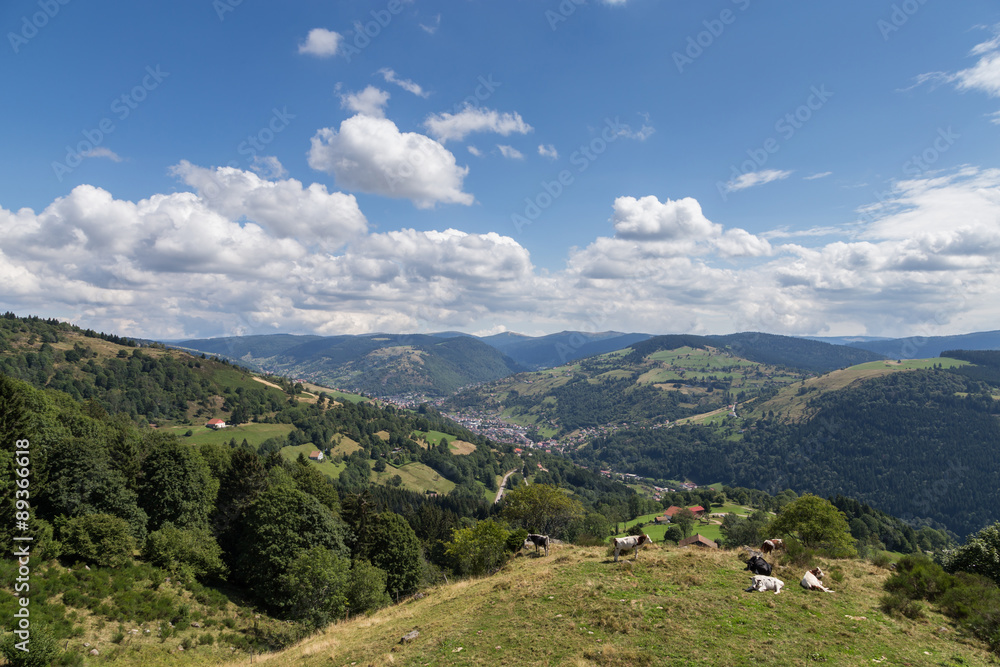 Fototapeta premium paysage des Vosges