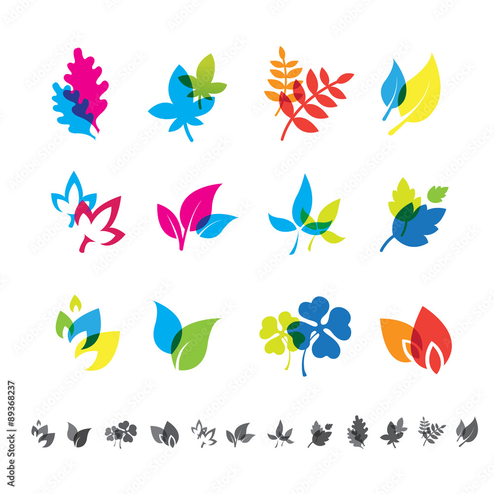 Set of 12 botanical icons.