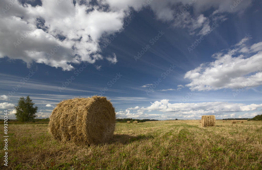 Rolls of hay in a field with forest and trailing clouds
