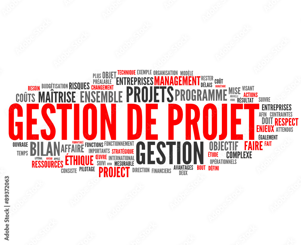 gestion de projet (management, innovation) gestion de projet (management, innovation)