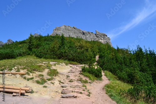 Tatry - Sarnia Skała