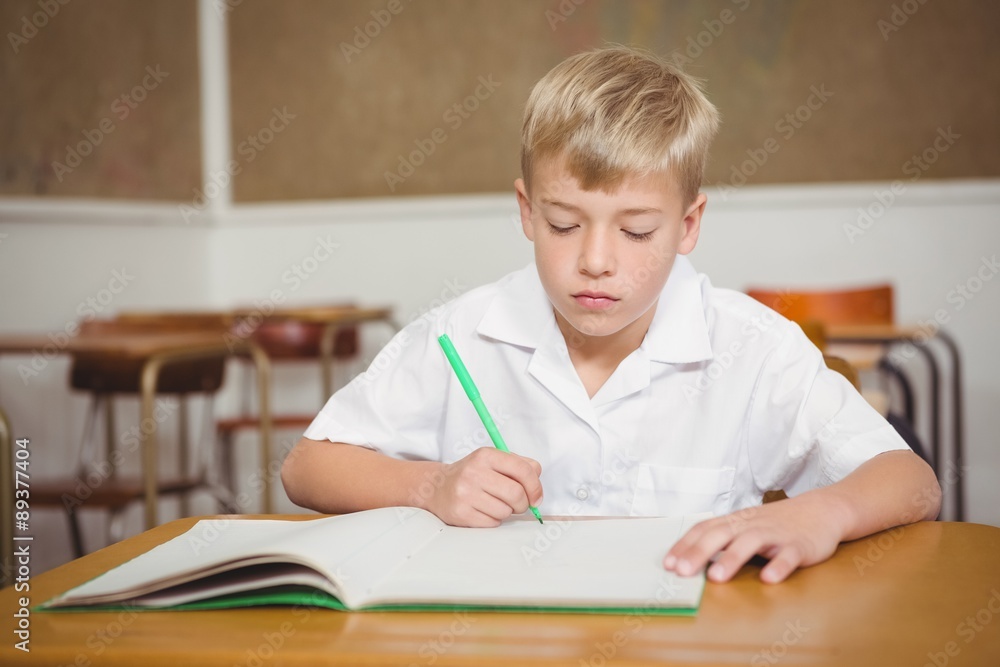 Busy student working on class work Busy student working on class work