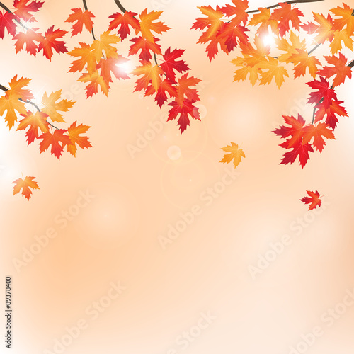 vector background with branches of maple tree