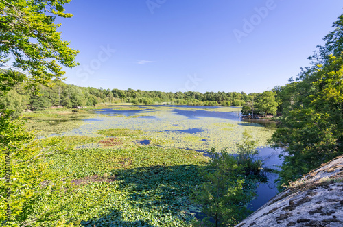 Summer Swedish lake - view from the hill