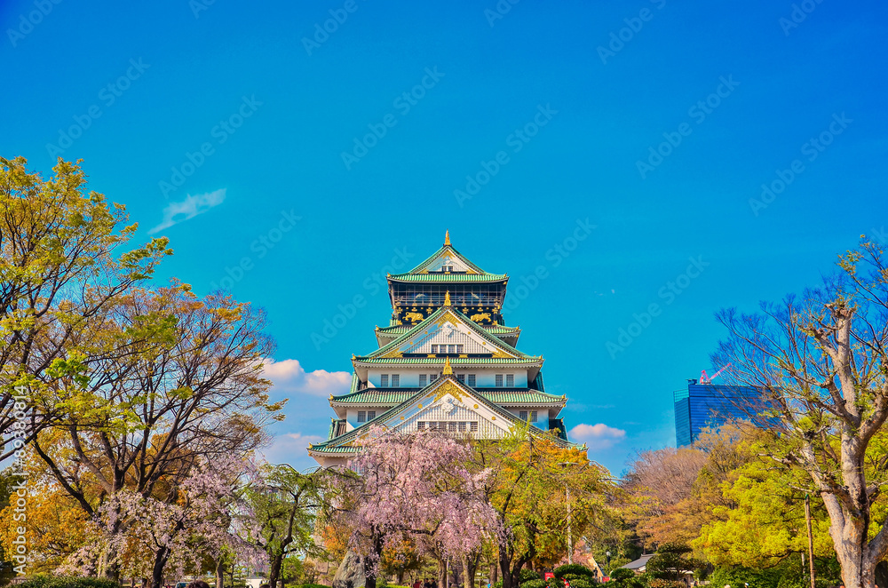 Fototapeta premium zamek osaka w osace