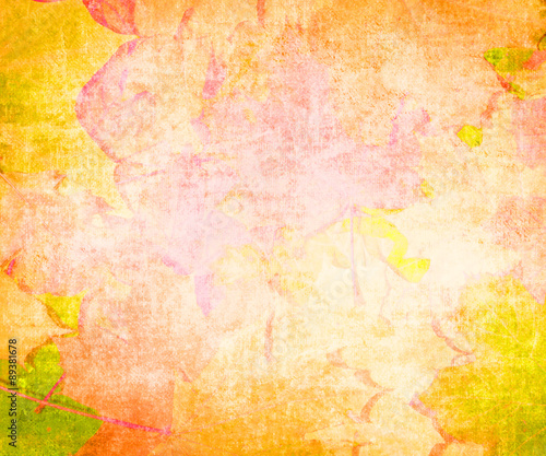 Skeleton leaves grunge background