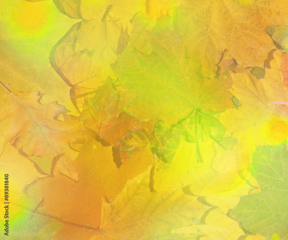 Fallen foliage over old hessian fabric, abstract autumn backgrounds