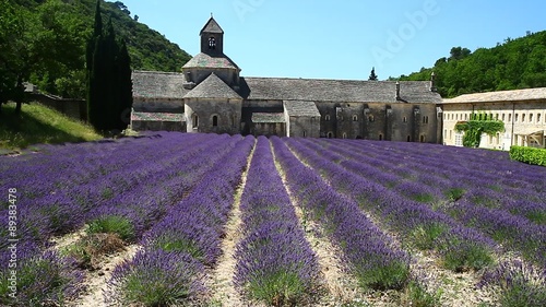 lavender field in front of Abbey senanque