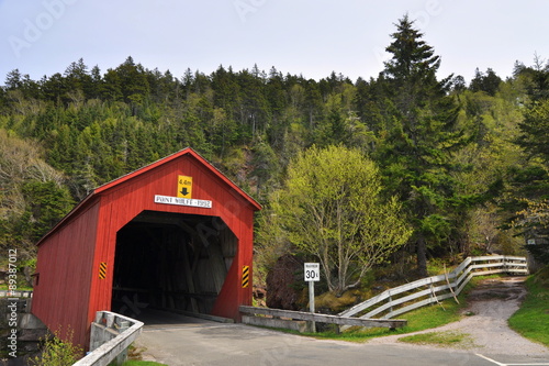 Point Wolfe in Fundy NP