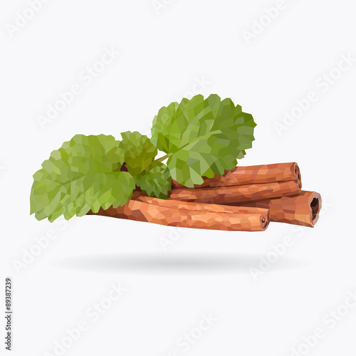 Mint and cinnamon, vector low poly illustration.