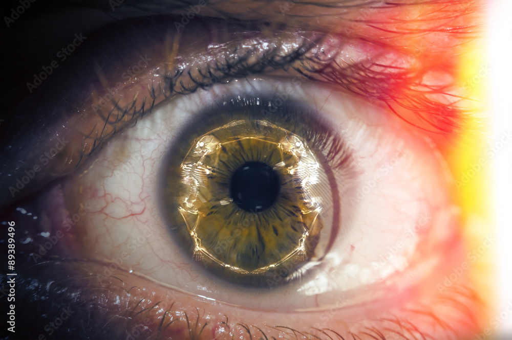 Fototapeta premium Macro Eyeball Skeleton