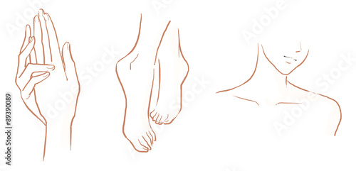 手、足、デコルテ