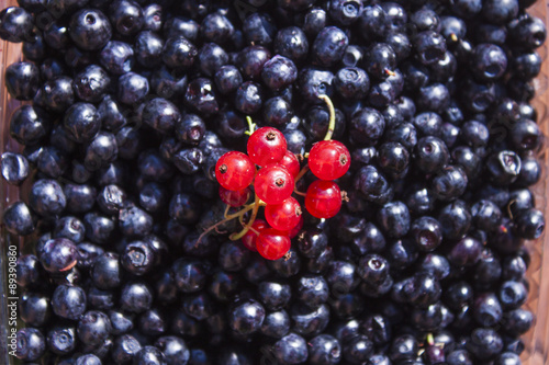 Red currant on blueberries