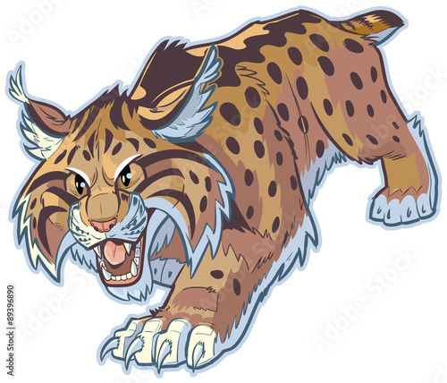 Bobcat or Wildcat Vector Mascot Illustration