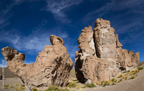 Rock formation with shape of a camel with blue sky  Bolivia