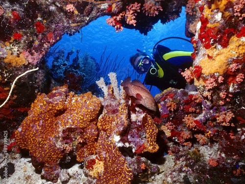 diver, underwater photo