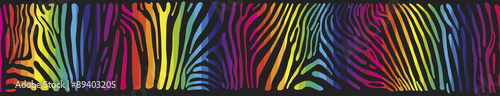 Background with Zebra skin in the rainbow colors