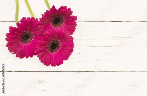 Happy Birthday Greeting Card