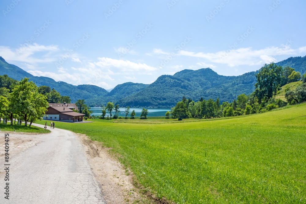 green rural landscape near the lake attersee, austria