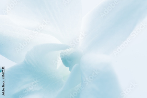 Soft focus flower background with copy space. Made with macro-le