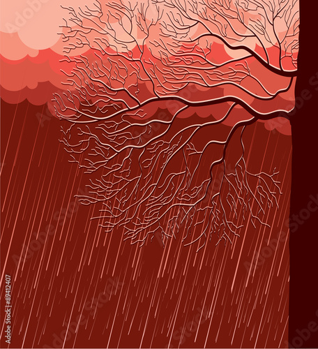 Raining nature landscape with tree in evening
