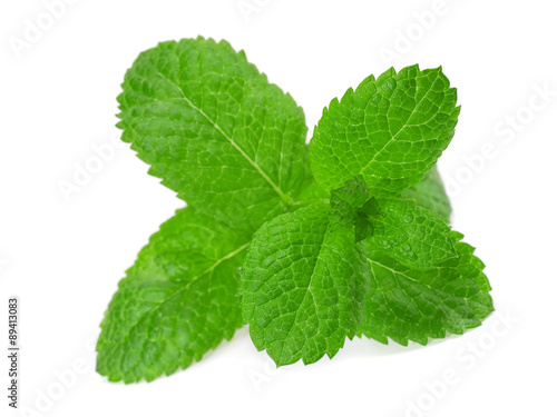 Green Mint isolated on white background