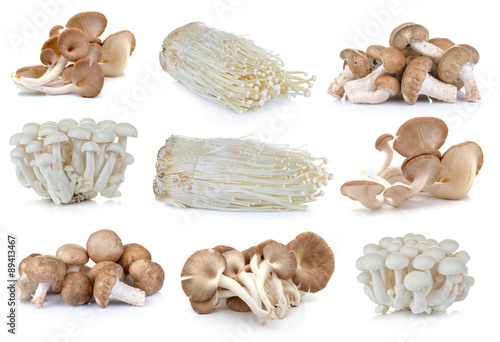 Shiitake mushroom , Enoki mushroom, White beech mushrooms, oyste