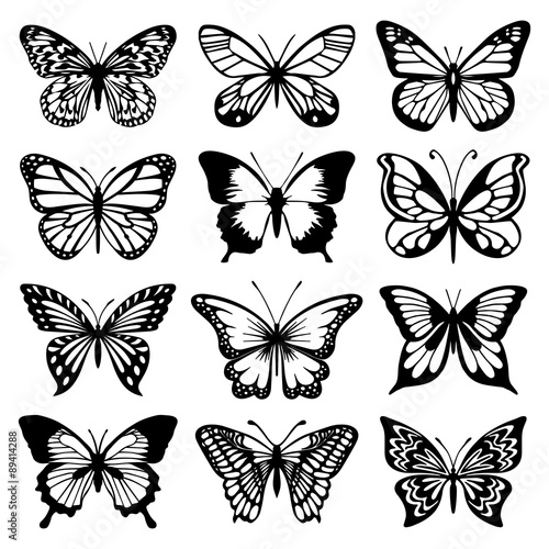 Butterfly Vector Set