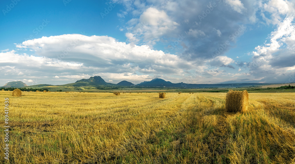 Fototapeta premium Сено на поле