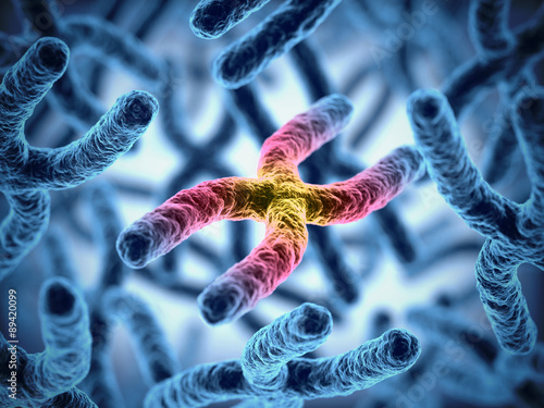 Photo chromosomes 3d illustration
