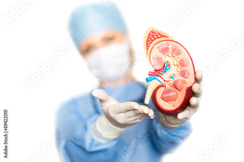 Kidney with surgeon