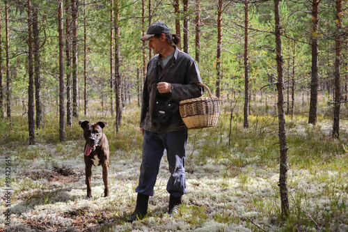 A man gathers mushrooms in the forest with his dog 
